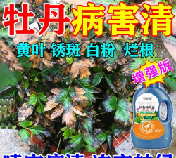 家庭养花用生根粉