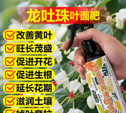 家庭养花用生根粉