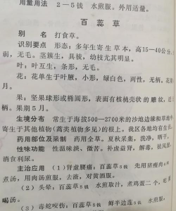 百蕊草的副作用有什么