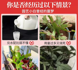 家庭养花用生根粉