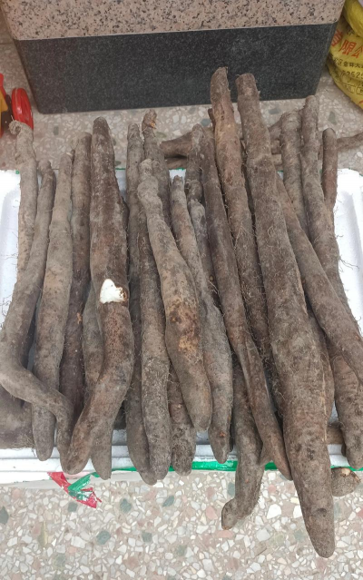 两年山药什么样的好