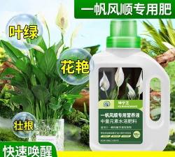 家庭养花用生根粉