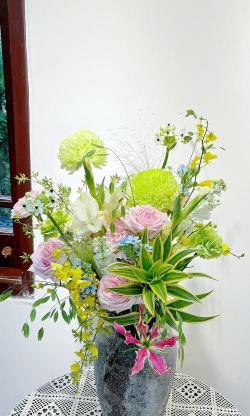 家庭养花用生根粉