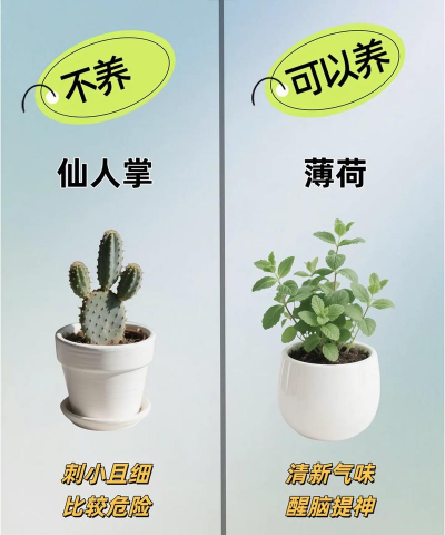 养花不要养 养花不要养