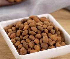 郁李的种植方法