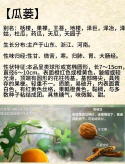 瓜蒌花有什么好处