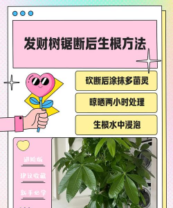 家庭养花用生根粉