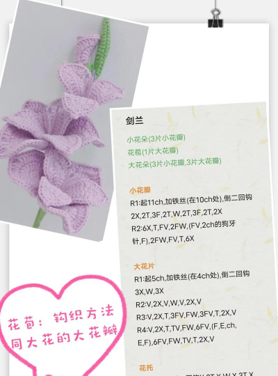 君子兰花的叶怎么勾