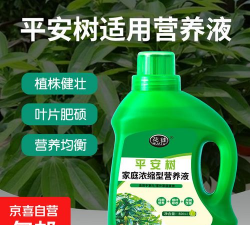 家庭养花用生根粉