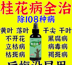 家庭养花用生根粉