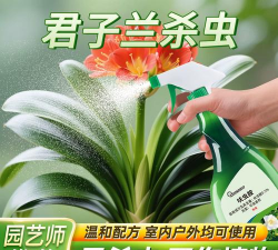 家庭养花用生根粉