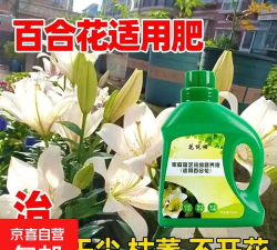 家庭养花用生根粉