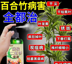 家庭养花用生根粉