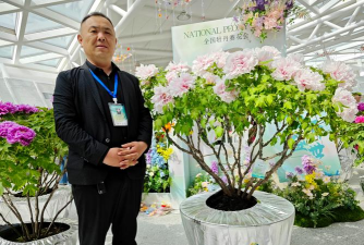 家庭养花用生根粉