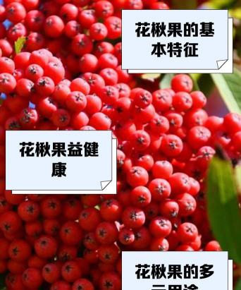 有一种水果叫花什么果