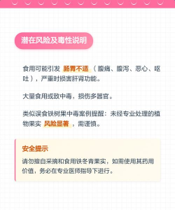 铁冬青果实为什么不能吃