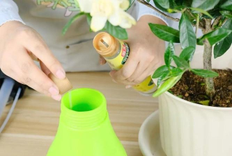 家庭养花用生根粉