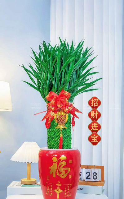 发财树和富贵竹寓意什么 发财树和富贵竹寓意什么