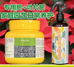 家庭养花用生根粉