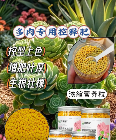 家庭养花用生根粉