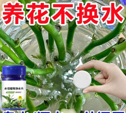 家庭养花用生根粉