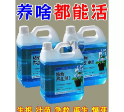 家庭养花用生根粉