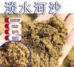 养花河沙细沙