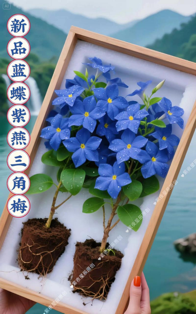 家庭养花用生根粉