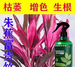 家庭养花用生根粉