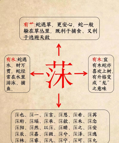 茼蒿的好加一个木念什么