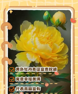 形容金色的花朵怎么说