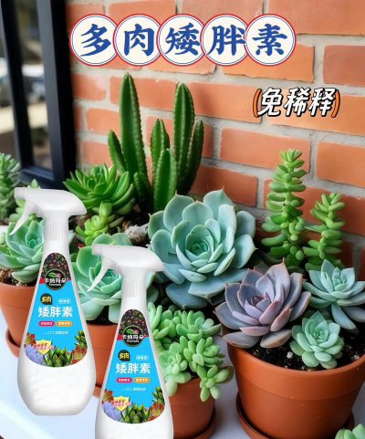 家庭养花用生根粉