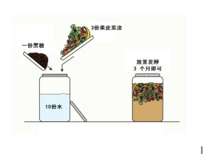 家庭养花用生根粉