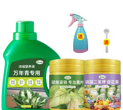 家庭养花用生根粉