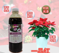 家庭养花用生根粉