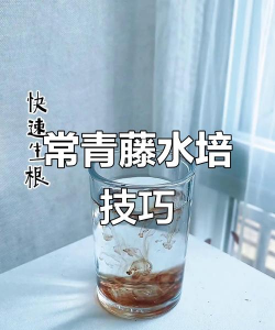 家庭养花用生根粉