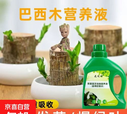 家庭养花用生根粉
