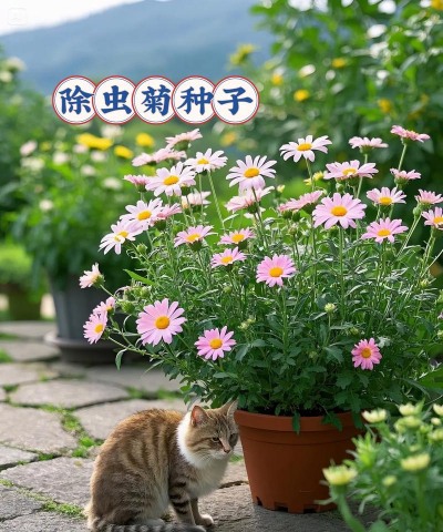 家庭养花用生根粉