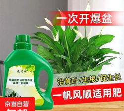 家庭养花用生根粉