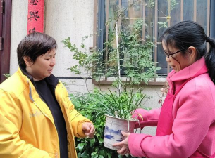 家庭养花用生根粉