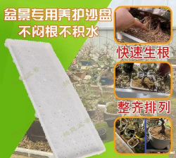 家庭养花用生根粉