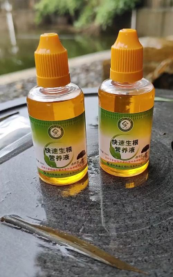 家庭养花用生根粉