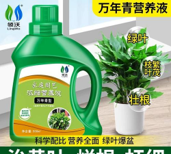 家庭养花用生根粉