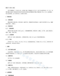 金钱松的栽培技术