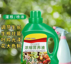 家庭养花用生根粉