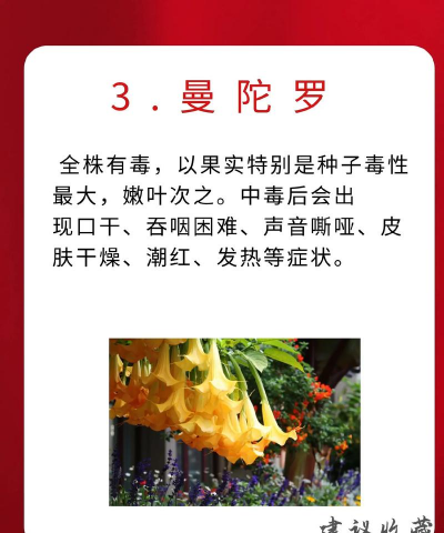 小孩吃有毒的花怎么办