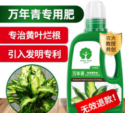 家庭养花用生根粉