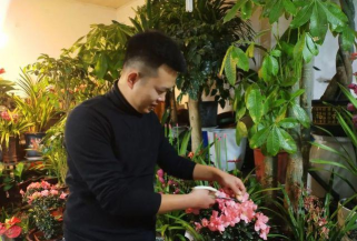 家庭养花用生根粉