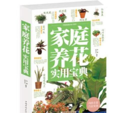 家庭养花用生根粉