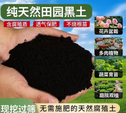 养花黑土壤